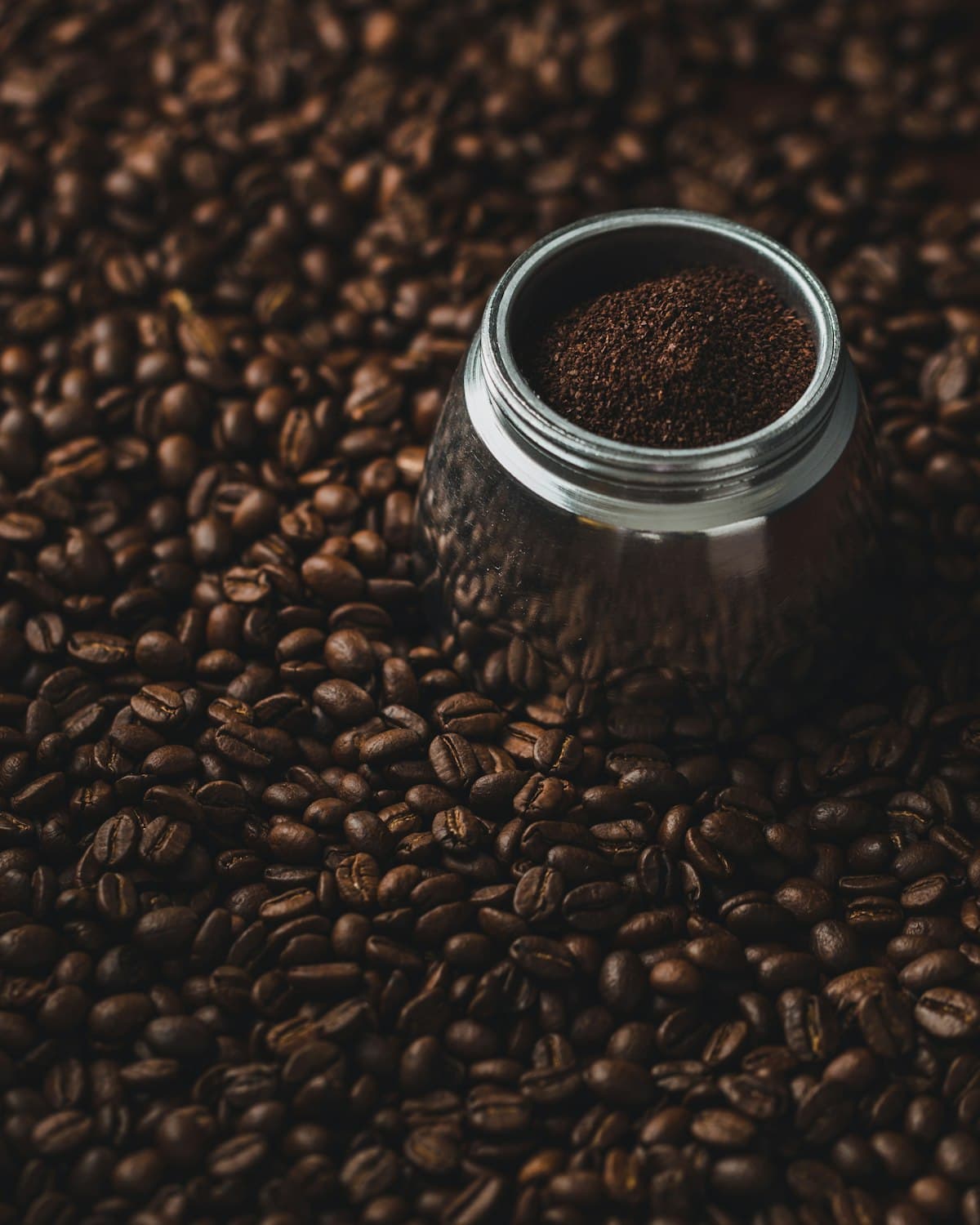The Truth About Luwak Coffee: How We Source Ethically